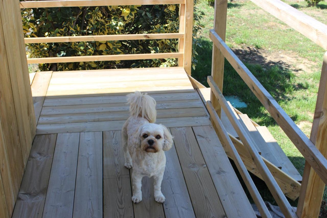 Tiny House Dans Jardin Arbore Perros-Guirec Exterior photo